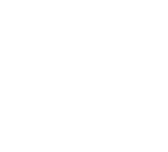 Bold Brangus Icon
