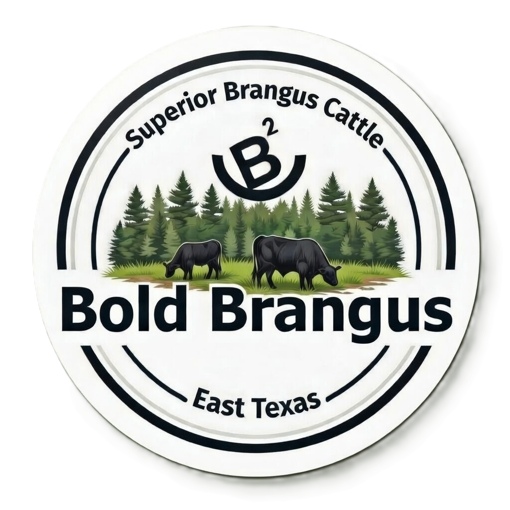 Bold Brangus Logo